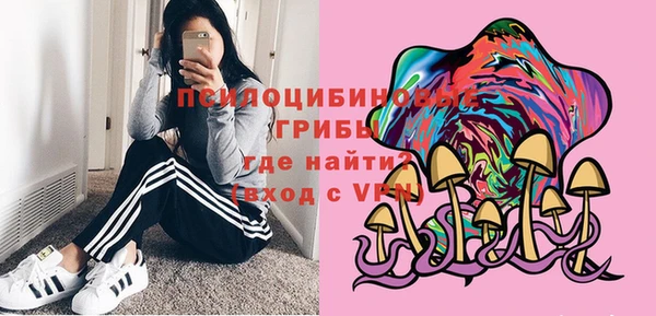 Альфа ПВП Алексин