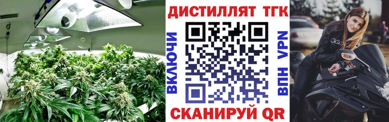 ТГК гашишное масло Бабаево